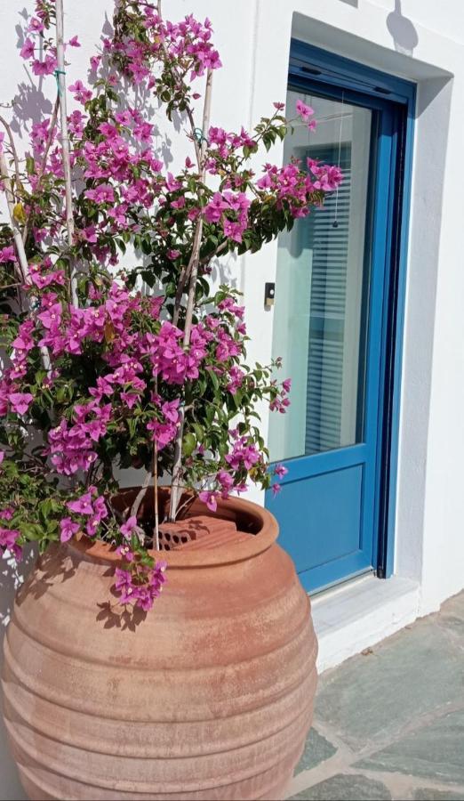 The Veranda Of Gavrion-Exclusive, Centrally Located With Seaview Eksteriør billede